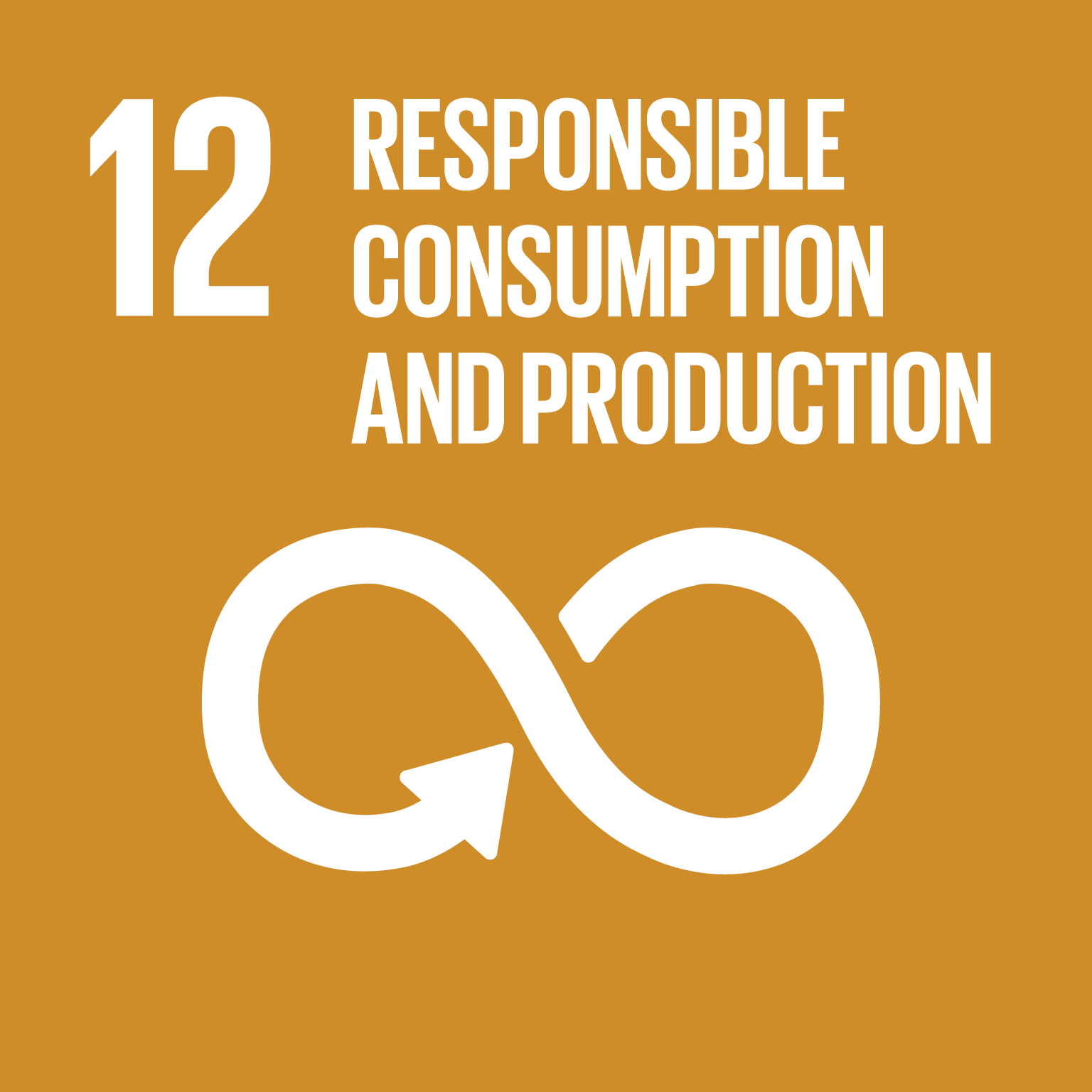 Sutainable Development Goal 12