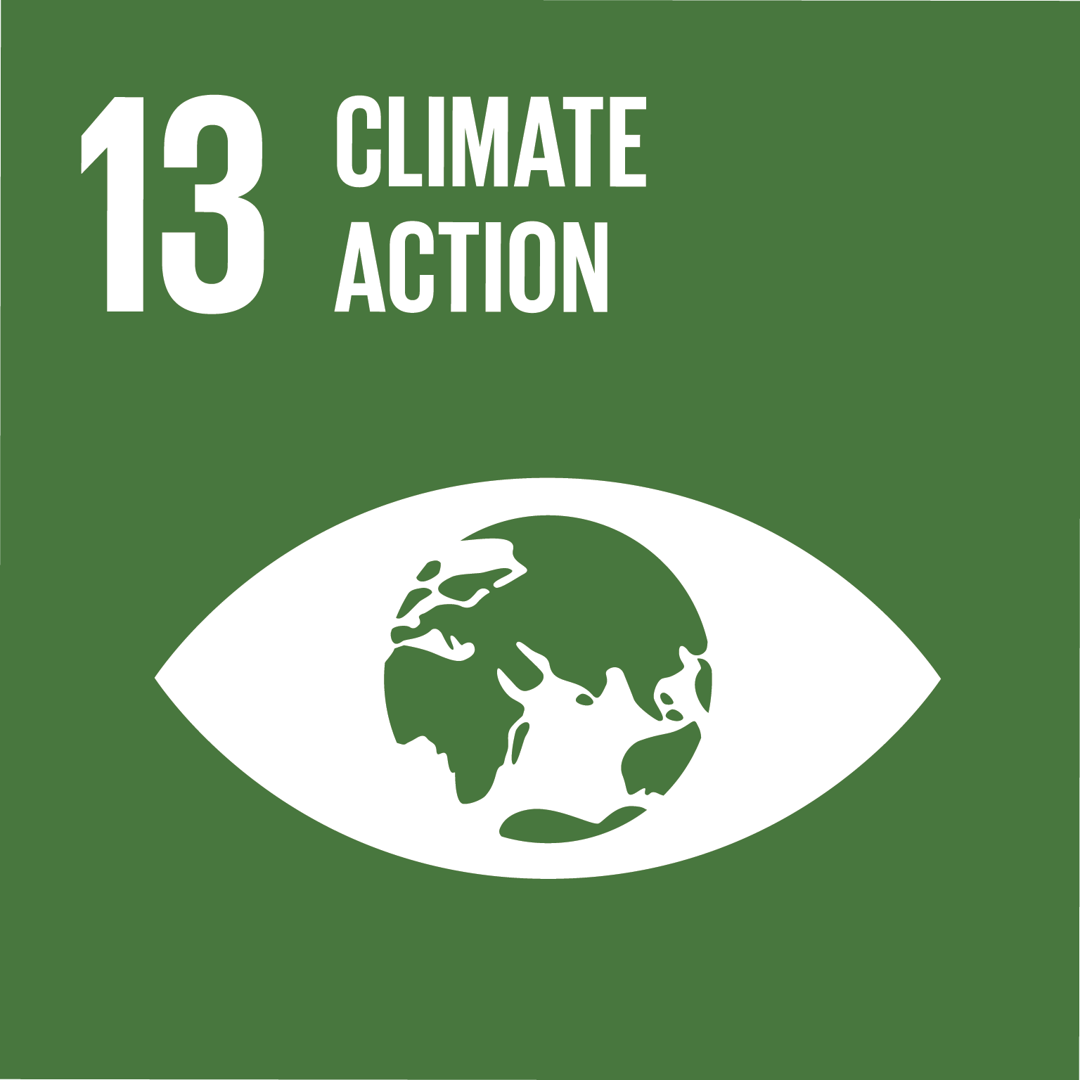 Sutainable Development Goal 13