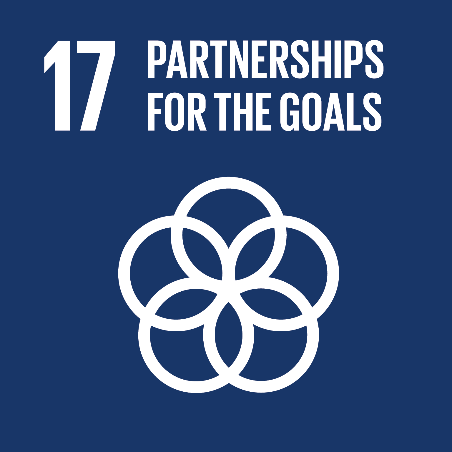 Sutainable Development Goal 17